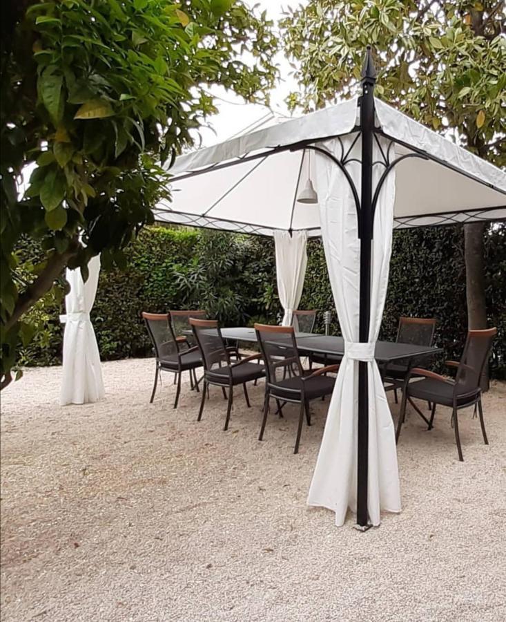 Luxury Residence Zola 扎达尔 外观 照片